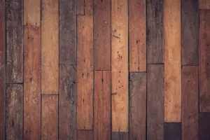 pet proof flooring